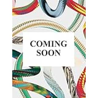 Carsten Holler. Book of Games