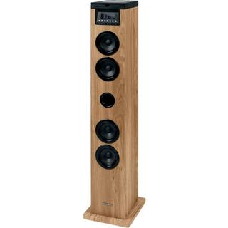 Thomson DS122CD Natural-Black Partybox