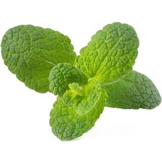 Click & Grow Click and Grow Smart Garden Refill 3-pack - Apple Mint