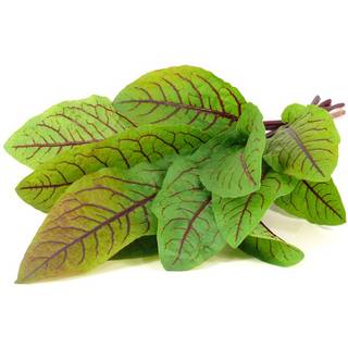 Click & Grow - Smart Garden Refill 3-pack - Bloody Sorrel (SGR33X3)