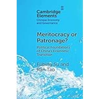 Meritocracy or Patronage?