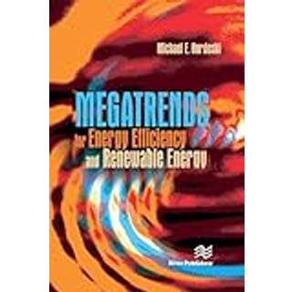 Megatrends for Energy Efficiency and Renewable Energy