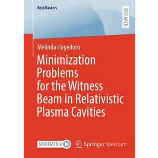 Minimization Problems for the Witness Beam in Relativistic Plasma Cavities