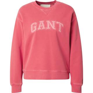 GANT Dame Arch Graphic sweatshirt med crewneck (XS)