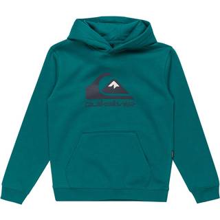 Quiksilver Kid's Big Logo Hoodie Hoodie Børn størrelse 16 Years farve turkis