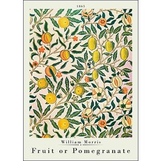 Fruit or pomegranate, W. M. - 30x40 cm