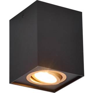Trio Lighting - Biscuit - Spotlight