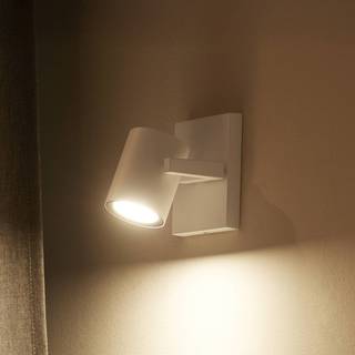 Philips Hue Argenta spot