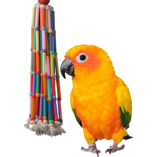 Super Bird Creations SB708 Wind Chimes Bird Toy Medium Bird St?rrelse 13? x 2?