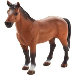 Mojo Trakehner Hest