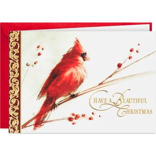 Hallmark Boxed Christmas Cards Painted Cardinal (40 kort og 40 konvolutter) Smuk jul