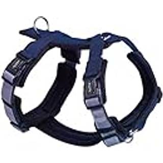 Sele DAILY WALK COMFORT - Blå - L