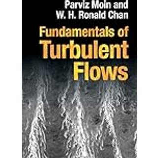 Fundamentals of Turbulent Flows