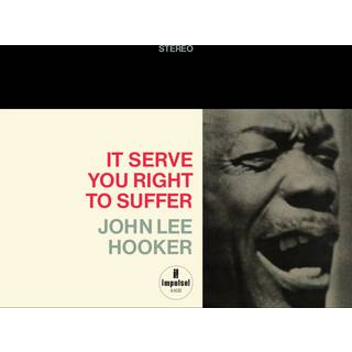 John Lee Hooker - It Serve You Right to Suffer