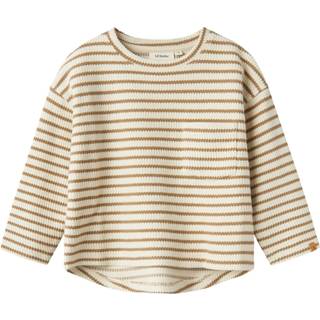Lil' Atelier Tadeo ls top - TURTLEDOVE