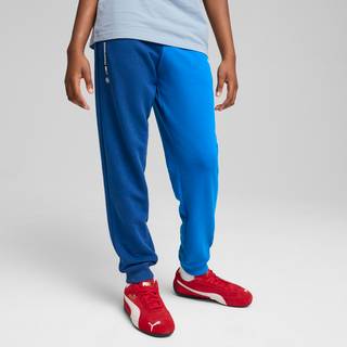 Puma BMW M Motorsport ESS+ Pants Youth, Blue, Size 11-12Y, Clothing - M Color - 11-12Y
