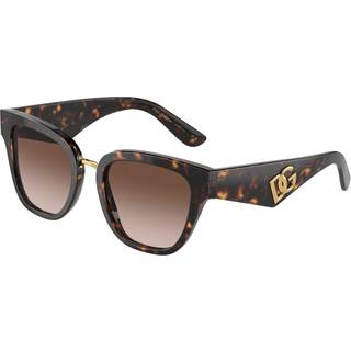 Dolce & Gabbana Kvinde DG4437 502/13 Solbriller Acetat Skildpadde Brun Sommerfugl Normal Skygge