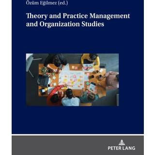 Theory and Practice Management and Organization Studies