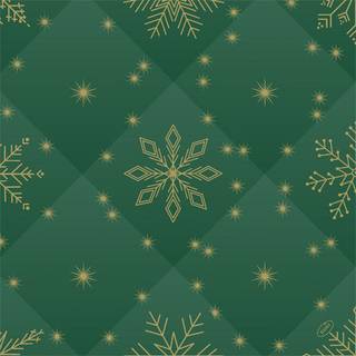 DUNI BIO DUNISOFT Serviet 40x40 cm Rhombus Green, 360 stk (208472)
