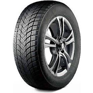 Landsail Winter Lander Nordic XL 225/40R18 92T