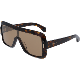 Ferragamo Kvinde SF2061SE 242 Solbriller Acetat Havana Maske Normal