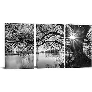 sechars - l?rred udskriver v?gkunst sort / hvidt tr? i solopgang l?rred v?gkunst s? landskab billede giclee print p? l?rred indrammet og klar til