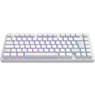 Dark Project ALU81 Gaming Tastatur RGB - Terra Nostra [g3ms Moonstone] - Hvid