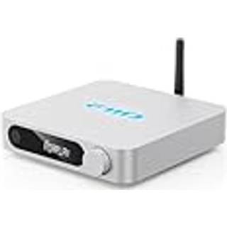 FiiO SR11 Netværksstreamer Sølv
