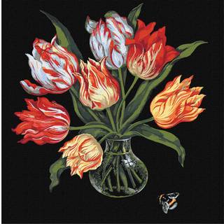 Ideyka: Malen nach Zahlen, Tulpen - 40 x 40 cm