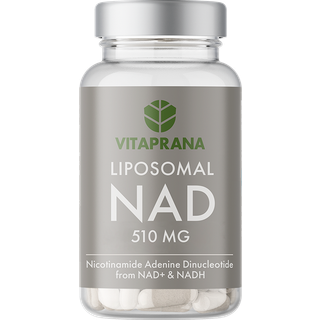 Liposomal NAD+ med NADH 510 mg 30 kapslar
