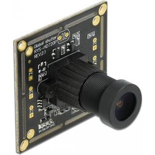 DeLOCK 96397 skjult kamera Sort