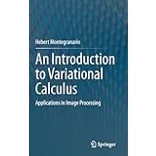 An Introduction to Variational Calculus