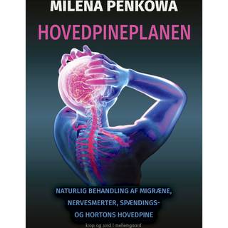 Hovedpineplanen
