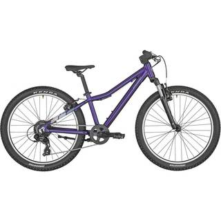 Bergamont Revox 24"