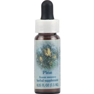 Blomster Essence Services Healing Herb Supplement Dropper Pine 0.25 Fluid Ounce