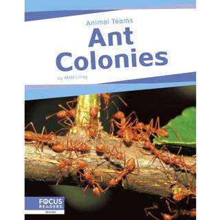 Ant Colonies