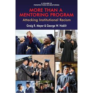 More Than a Mentoring Program