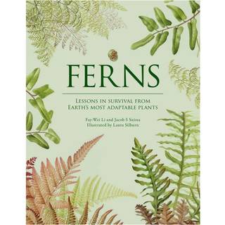 Ferns