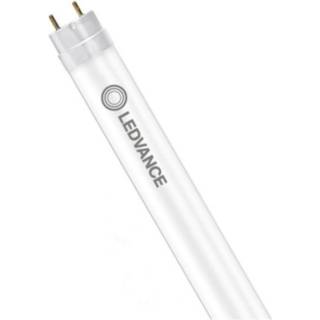 Ledvance LED Lysrør T8 Performance (EM/Mains) Standard Output 11.6W 1100lm - 833 Food | 120cm - erstatter 36W