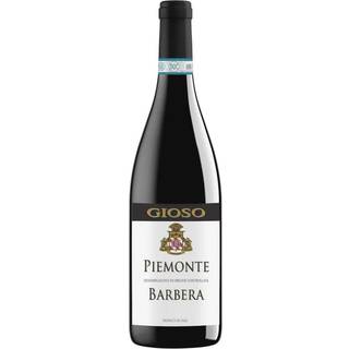 2023 Barbera Piemonte DOC Gioso