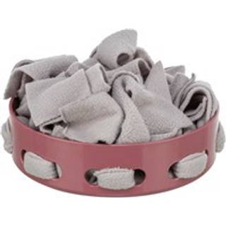 Katteaktivitet Hide'n'Sniff