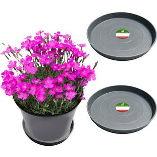 Lille bjørne Peak Round Composite Plant Saucer/Bakke (2-Pack) | 60% genanvendt plast og 40% sten/træpulver | Tungt vandfanger | Indendørs og uden