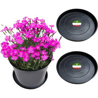 Lille bjørne Peak Round Composite Plant Saucer/Bakke (2-Pack) | 60% genanvendt plast og 40% sten/træpulver | Tungt vandfanger | Indendørs og uden