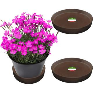 Lille bjørne Peak Round Composite Plant Saucer/Bakke (2-Pack) | 60% genanvendt plast og 40% sten/træpulver | Tungt vandfanger | Indendørs og uden