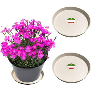 Lille bjørne Peak Round Composite Plant Saucer/Bakke (2-Pack) | 60% genanvendt plast og 40% sten/træpulver | Tungt vandfanger | Indendørs og uden