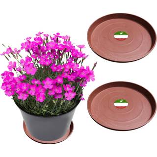 Lille bjørne Peak Round Composite Plant Saucer/Bakke (2-Pack) | 60% genanvendt plast og 40% sten/træpulver | Tungt vandfanger | Indendørs og uden