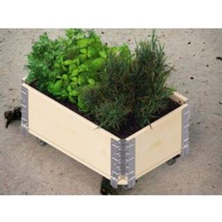 Upyard HerbsBox krydderurtehøjbed, natur, 60 x 40 cm