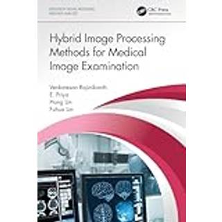 Hybrid Image Processing Methods for Medical Image Examination