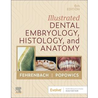Illustrated Dental Embryology, Histology, and Anatomy
