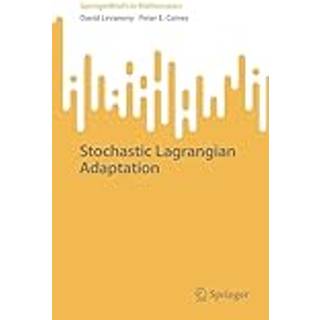 Stochastic Lagrangian Adaptation